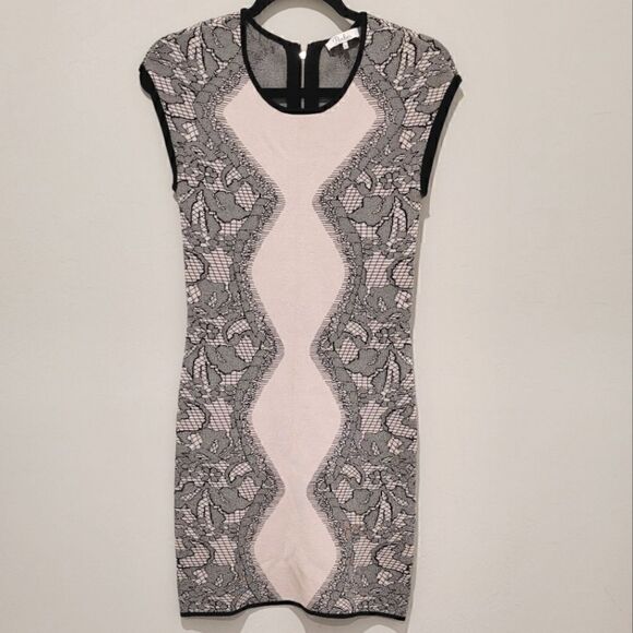 PARKER 'Alexander' Blush Floral Lace Print Dress size Medium - Picture 3 of 16